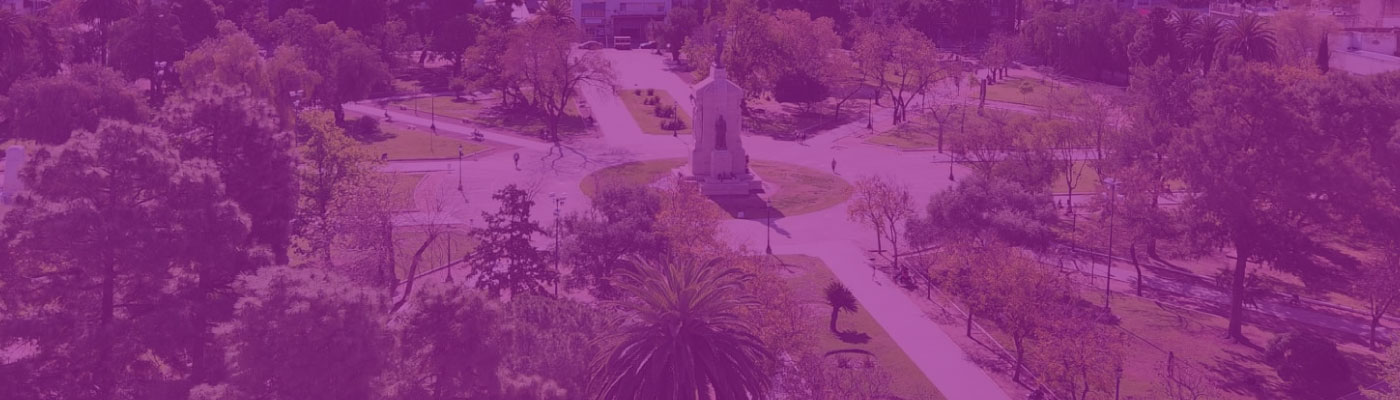 Micros a Bahía Blanca