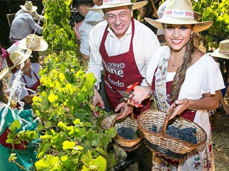 Fiesta Nacional de la Cosecha en Mendoza 2026