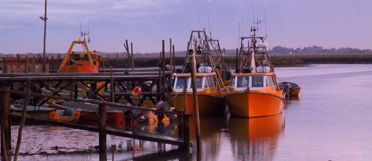 Terminal de San Clemente del Tuyú